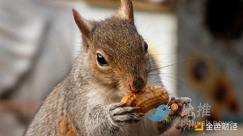 Meme�츻�C��һ��̓�o���x��ؔ���Α�DƬ